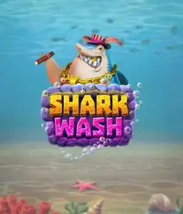 Исследуйте уникальным подводным приключением с Shark Wash от Relax Gaming, демонстрирующим светлую графику подводных обитателей в забавной обстановке автомойки. Примите участие в развлечению, когда акулы и другие морские животные испытывают игривой чисткой, с развлекательные игровые функции вроде специальных бонусов, вайлдов и бесплатных вращений. Отличный выбор для игроков, испытывающих легкомысленного игрового опыта с свежей тематикой.